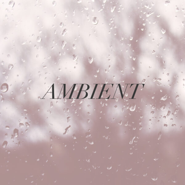 5. AMBIENT